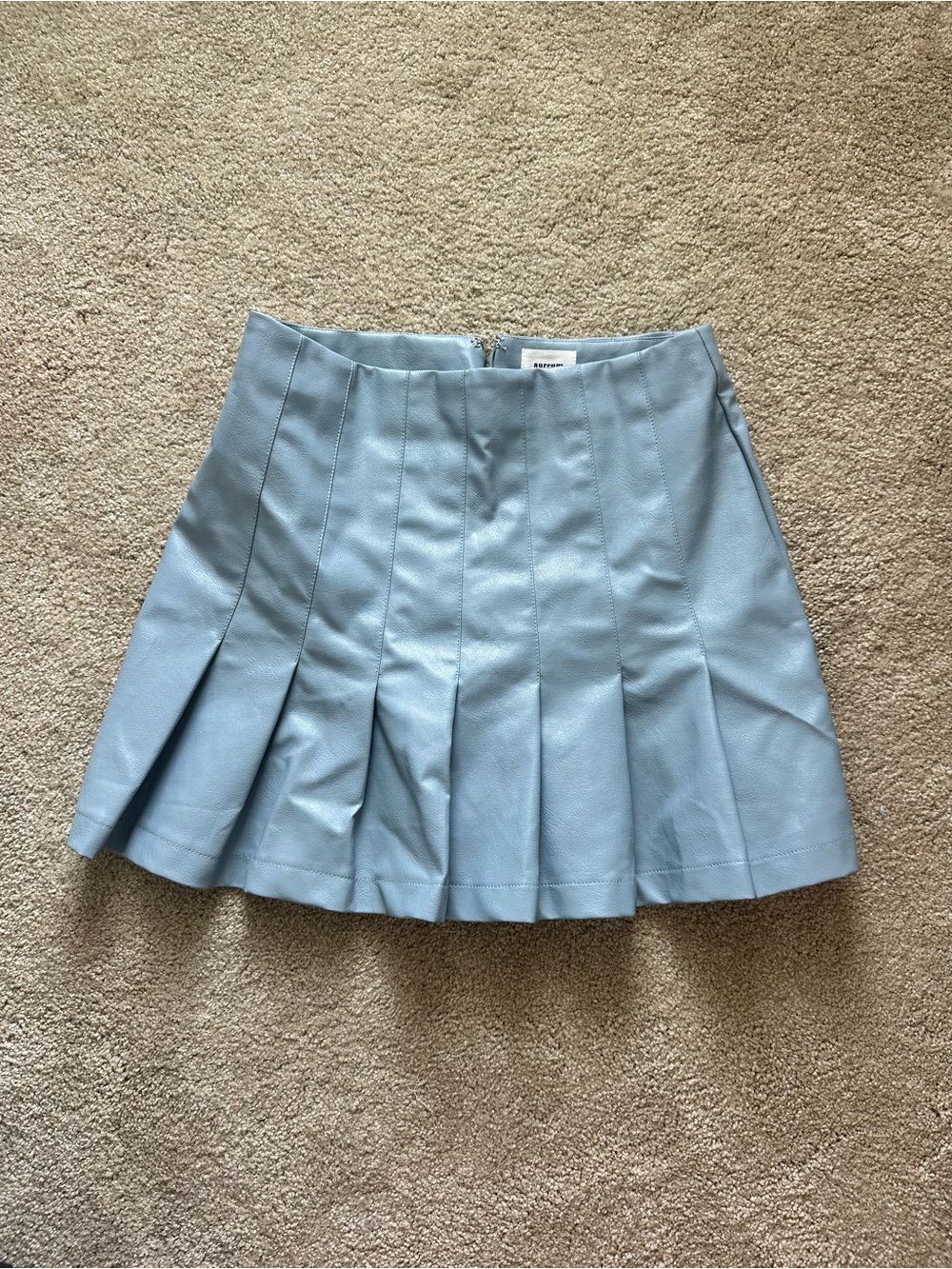 Aureum Faux Leather Pleated Skirt